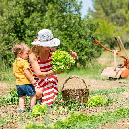 Agriturismo Le Biricoccole 瓦达 外观 照片