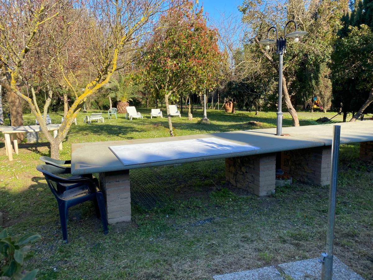 Agriturismo Le Biricoccole 瓦达 外观 照片