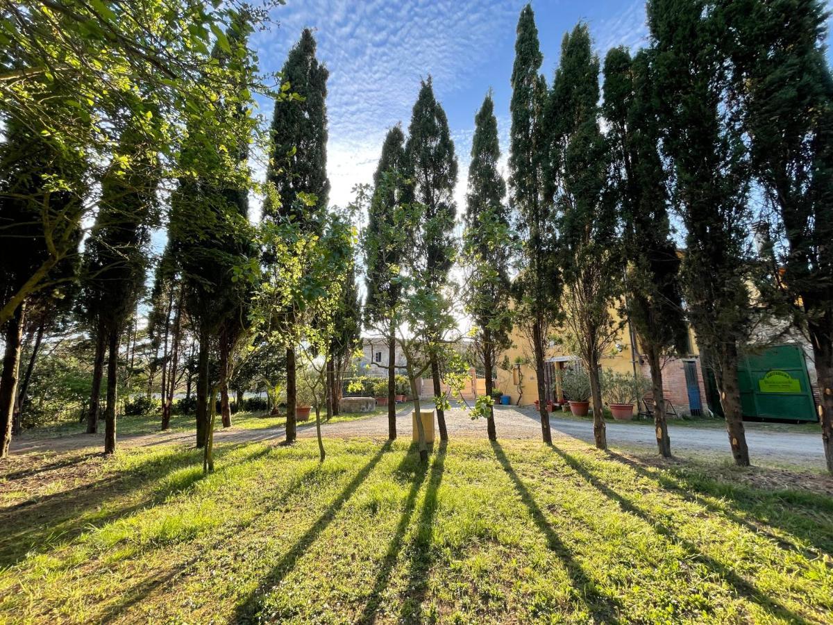 Agriturismo Le Biricoccole 瓦达 外观 照片