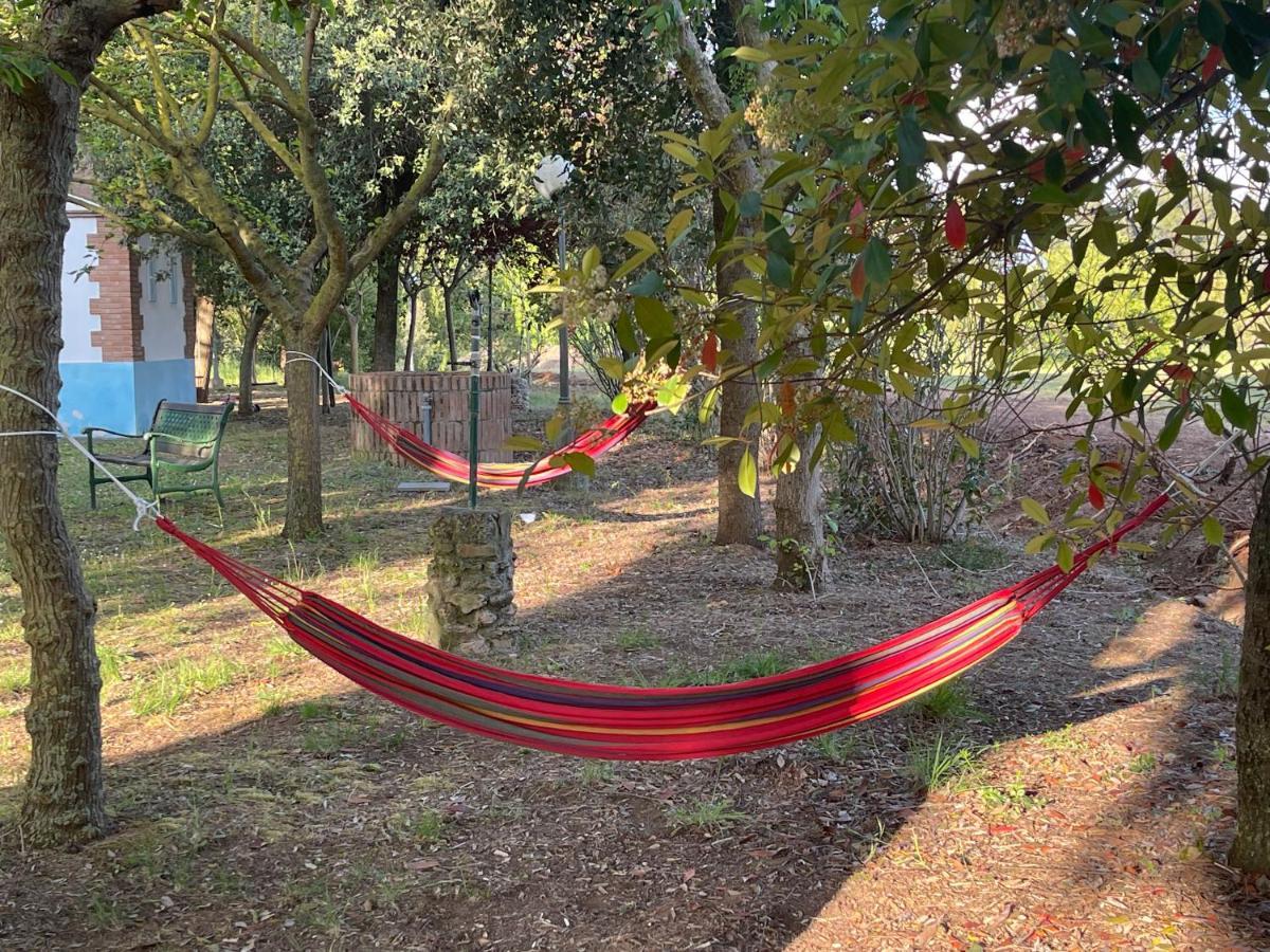 Agriturismo Le Biricoccole 瓦达 外观 照片