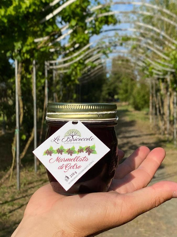 Agriturismo Le Biricoccole 瓦达 外观 照片