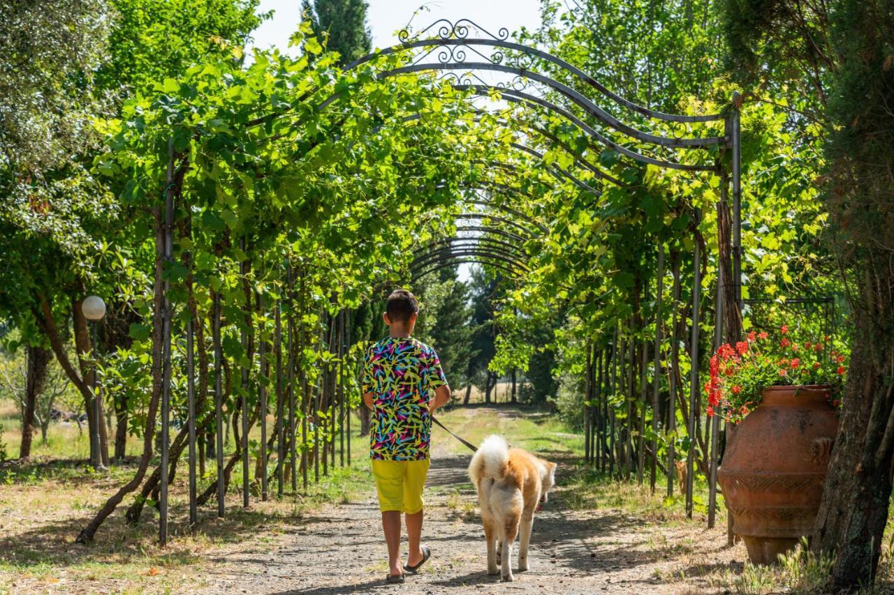 Agriturismo Le Biricoccole 瓦达 外观 照片