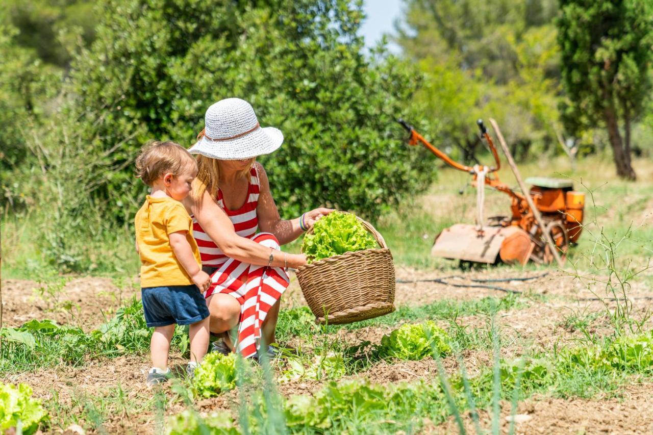 Agriturismo Le Biricoccole 瓦达 外观 照片